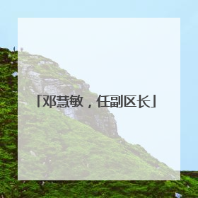 邓慧敏，任副区长