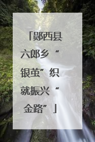 郧西县六郎乡“银茧”织就振兴“金路”