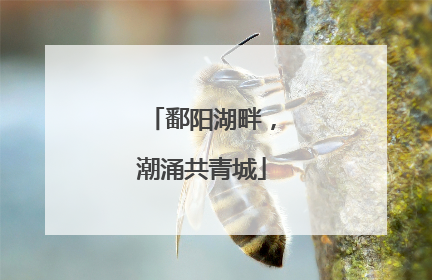 鄱阳湖畔，潮涌共青城
