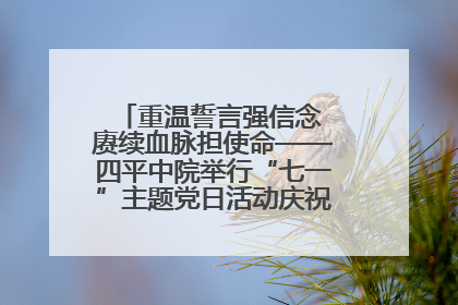 重温誓言强信念 赓续血脉担使命——四平中院举行“七一”主题党日活动庆祝建党104周年