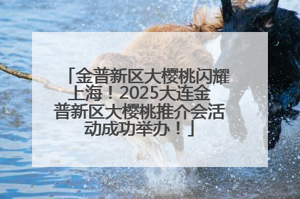 金普新区大樱桃闪耀上海！2025大连金普新区大樱桃推介会活动成功举办！