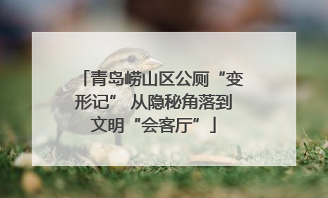 青岛崂山区公厕“变形记” 从隐秘角落到文明“会客厅”