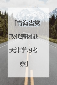 青海省党政代表团赴天津学习考察