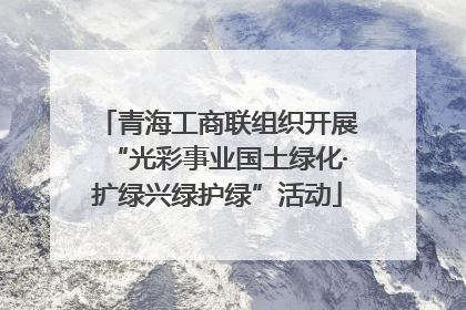 青海工商联组织开展“光彩事业国土绿化·扩绿兴绿护绿”活动