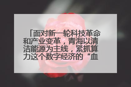 面对新一轮科技革命和产业变革，青海以清洁能源为主线，紧抓算力这个数字经济的“血液”、科技主权的“筹码”、产业升级的“杠杆”、绿色转型的“支点”，勇于撬动国家“双碳”战略、“东数西算”工程重大发展新机遇