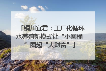 铜川宜君：工厂化循环水养殖新模式让“小圆桶”圈起“大财富”
