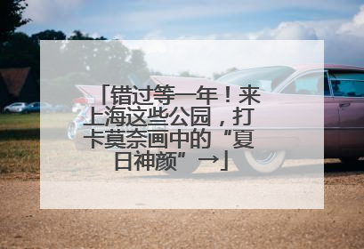 错过等一年！来上海这些公园，打卡莫奈画中的“夏日神颜”→