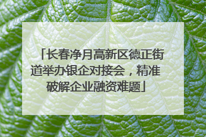 长春净月高新区德正街道举办银企对接会，精准破解企业融资难题