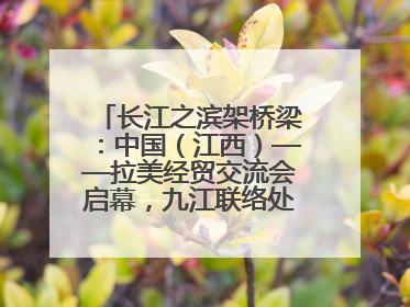 长江之滨架桥梁：中国（江西）——拉美经贸交流会启幕，九江联络处授牌拓商机