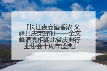 长江夜宴酒香浓 文峰共庆荣耀时——金文峰酒亮相湖北省庆典行业协会十周年盛典
