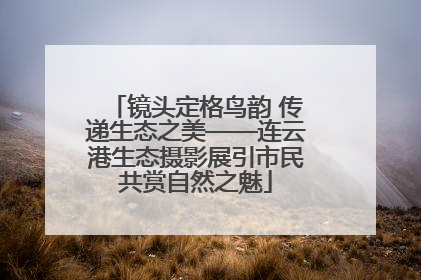 镜头定格鸟韵 传递生态之美——连云港生态摄影展引市民共赏自然之魅