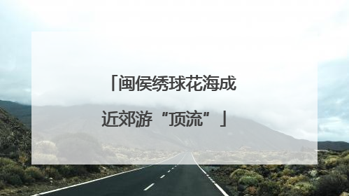 闽侯绣球花海成近郊游“顶流”