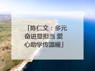陈仁文：多元奋进显担当 爱心助学传温暖