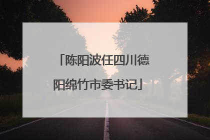 陈阳波任四川德阳绵竹市委书记