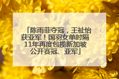 陈雨菲夺冠，王祉怡获亚军！国羽女单时隔11年再度包揽新加坡公开赛冠、亚军
