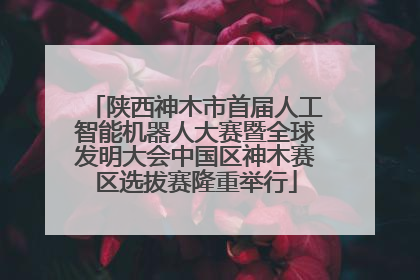 陕西神木市首届人工智能机器人大赛暨全球发明大会中国区神木赛区选拔赛隆重举行
