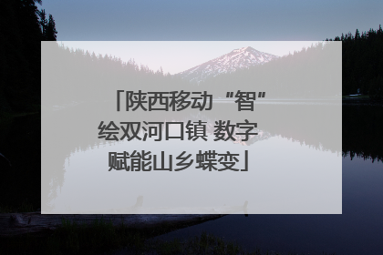 陕西移动“智”绘双河口镇 数字赋能山乡蝶变