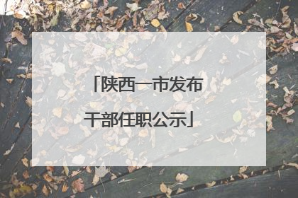 陕西一市发布干部任职公示