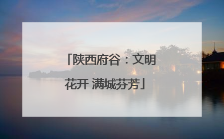 陕西府谷：文明花开 满城芬芳