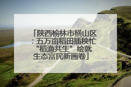 陕西榆林市横山区：五万亩稻田插秧忙 “稻渔共生”绘就生态富民新画卷