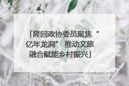 隆回政协委员聚焦“亿年龙洞” 推动文旅融合赋能乡村振兴
