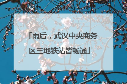 雨后，武汉中央商务区三地铁站皆畅通