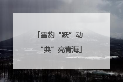 雪豹“跃”动 “典”亮青海