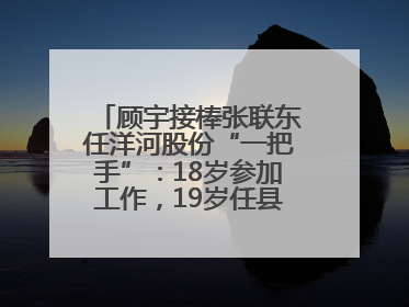 顾宇接棒张联东任洋河股份“一把手”：18岁参加工作，19岁任县委秘书