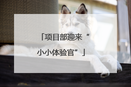 项目部迎来“小小体验官”