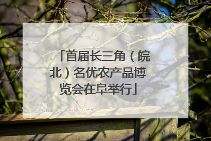 首届长三角（皖北）名优农产品博览会在阜举行