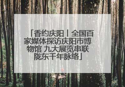 香约庆阳丨全国百家媒体探访庆阳市博物馆 九大展览串联陇东千年脉络