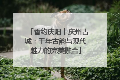 香约庆阳丨庆州古城：千年古韵与现代魅力的完美融合