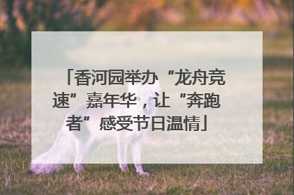 香河园举办“龙舟竞速”嘉年华，让“奔跑者”感受节日温情