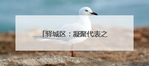 驿城区：凝聚代表之力 办好惠民实事
