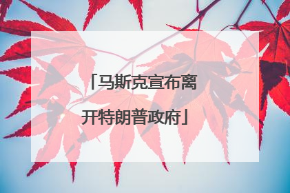 马斯克宣布离开特朗普政府