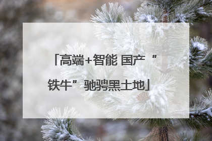高端+智能 国产“铁牛”驰骋黑土地