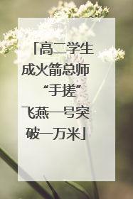 高二学生成火箭总师 “手搓”飞燕一号突破一万米