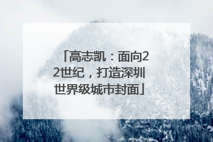 高志凯：面向22世纪，打造深圳世界级城市封面