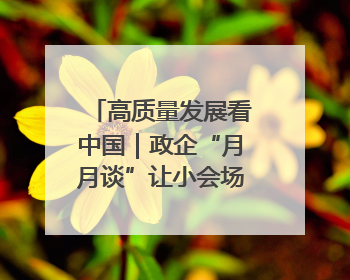 高质量发展看中国｜政企“月月谈”让小会场撬动大营商