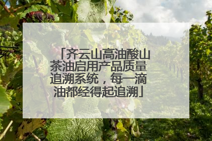 齐云山高油酸山茶油启用产品质量追溯系统，每一滴油都经得起追溯