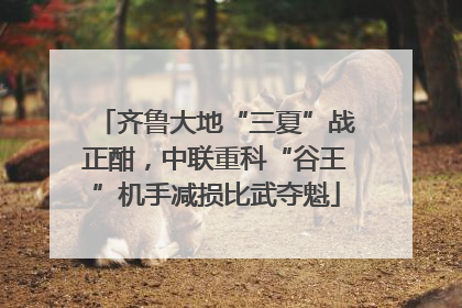 齐鲁大地“三夏”战正酣，中联重科“谷王”机手减损比武夺魁
