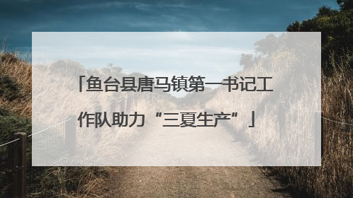 鱼台县唐马镇第一书记工作队助力“三夏生产”
