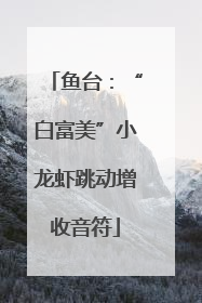 鱼台：“白富美”小龙虾跳动增收音符