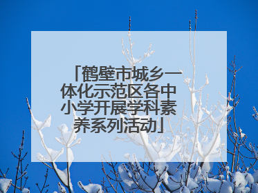鹤壁市城乡一体化示范区各中小学开展学科素养系列活动