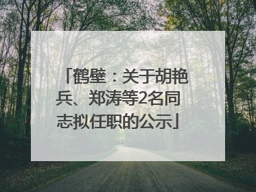 鹤壁：关于胡艳兵、郑涛等2名同志拟任职的公示