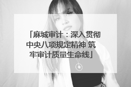 麻城审计：深入贯彻中央八项规定精神 筑牢审计质量生命线