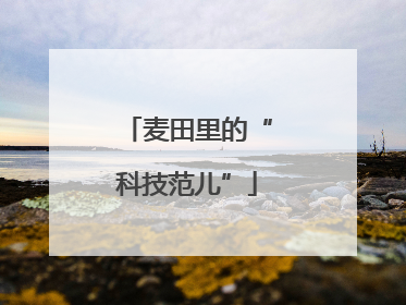麦田里的“科技范儿”