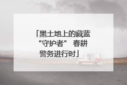 黑土地上的藏蓝“守护者” 春耕警务进行时