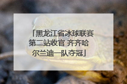 黑龙江省冰球联赛第二站收官 齐齐哈尔兰迪一队夺冠