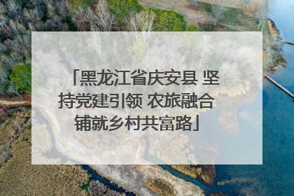 黑龙江省庆安县 坚持党建引领 农旅融合铺就乡村共富路